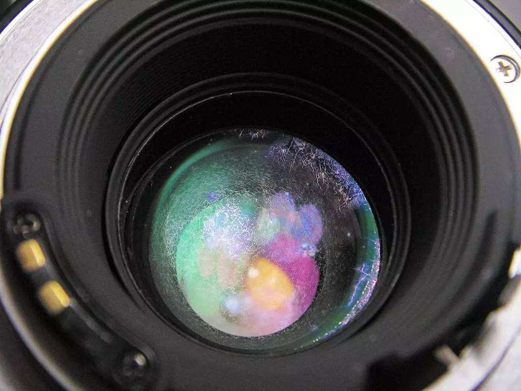 �ܶ��˶���֪�������ƷҲҪ����?���������Ʒ����ָ������