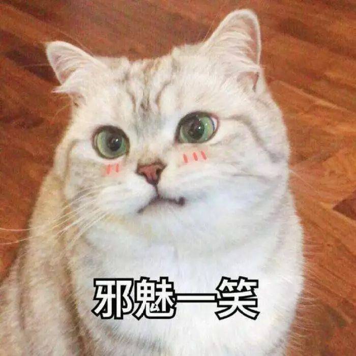 猫咪表情包如果我是一只咸鱼那就让我快乐每一天