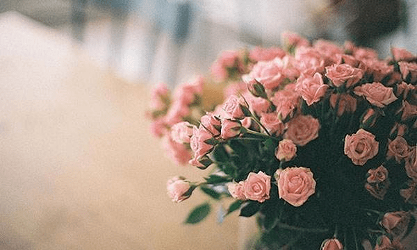 dc43b81b6979431d867a4411b170da7f.png