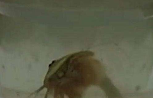 605bdd57939f4342b812326e40499977.jpeg