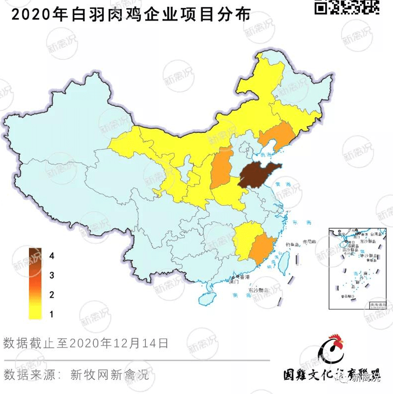 东北可人口(3)