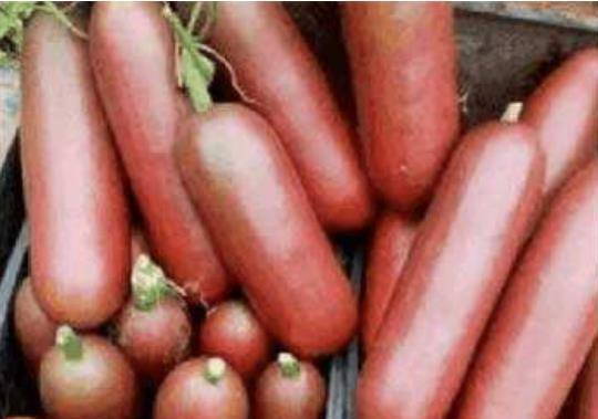 第一眼以为是 火腿肠 你错了,这是8元一斤的水果