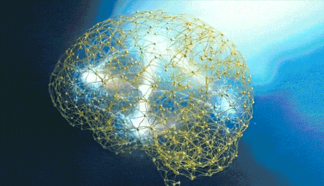 认知能力指的是 9386a8adbbff42bdb61892336a612470.gif