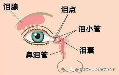 a1b6da6b87e3458a9d6920462e4df0a9.jpeg