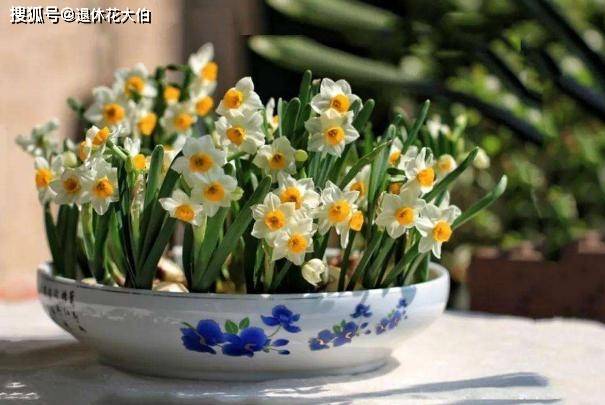 3d64106c63aa435bb66820147c6fa700.jpeg