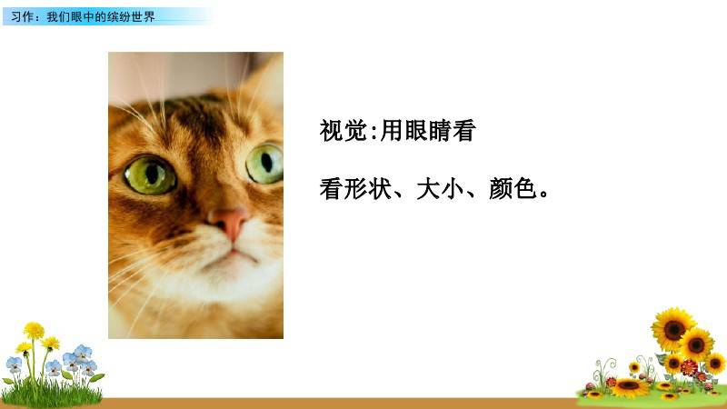 文章配图-20