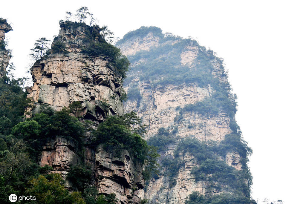 湖南张家界武陵源风景区山峰成林 风景如画