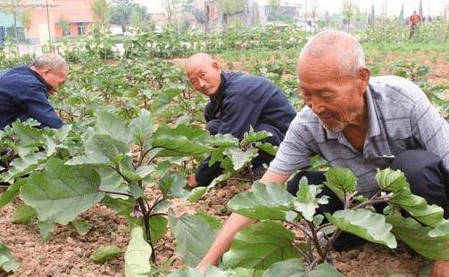 
俗语“六十不交言 七十不留宿 八十不留饭”是啥意思？长见识了-三亿体育(图2)