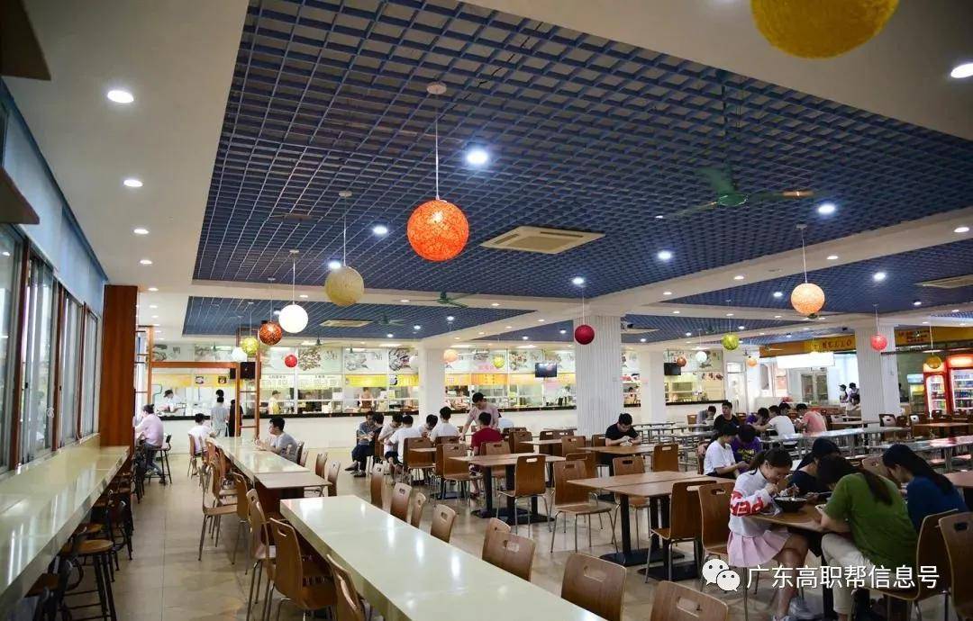 2020年高考分数线省_广东岭南职业技术学院高职高考3+1分数线、招生计划(2)