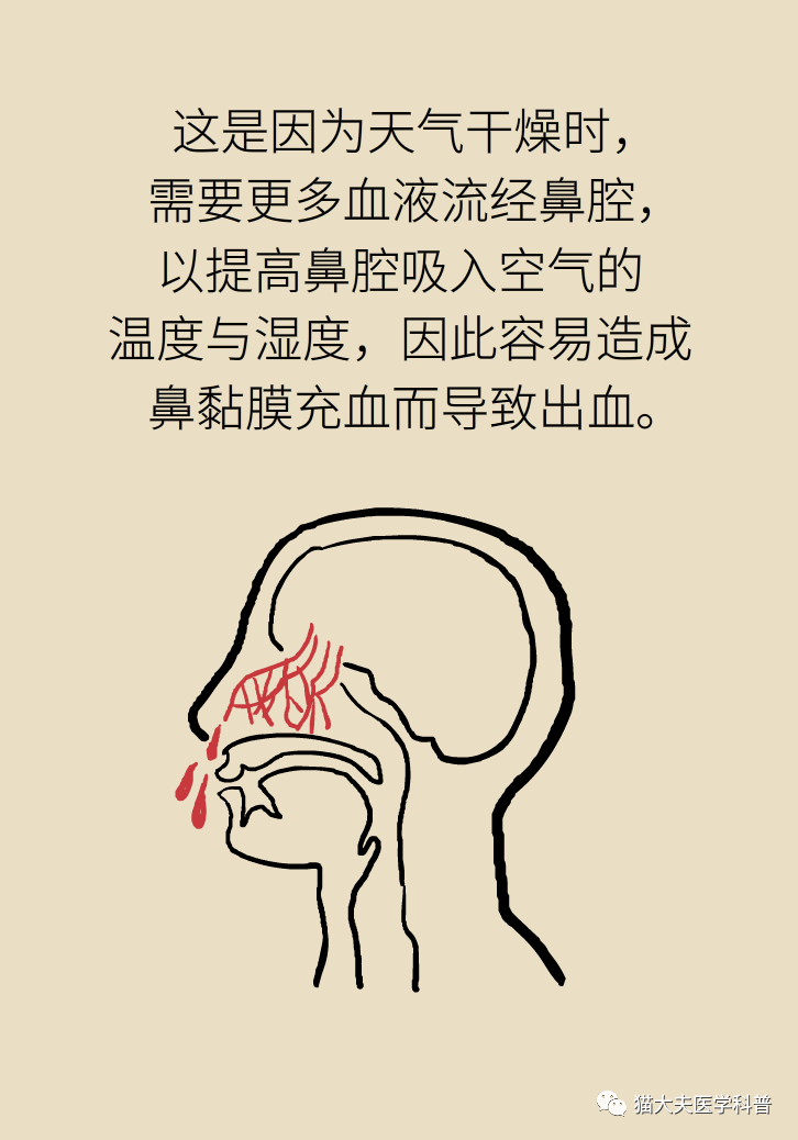 b4b11ffac82e4f6fac0f7824d61d8cfb.png