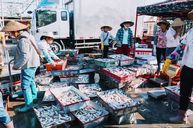 实地探访海南最大渔港市场:三亚崖州中心渔港,场面热闹非凡!