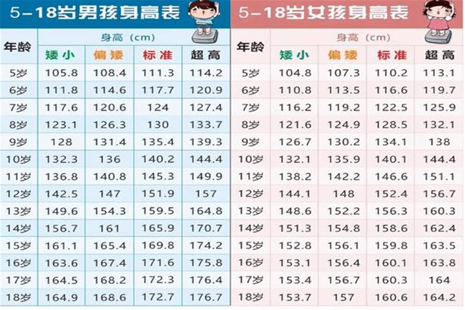 160与180身高图,180和160身高对照图 比如爸爸身高180,妈妈身高160, 那么男孩的身高就是173.3-183.