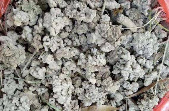 优质有机肥价格 462af753d86f4f1c862622ed1690a6e8.jpeg