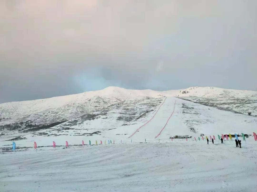 【打卡阿勒泰】吉克普谈球吧体育林滑雪场数据大揭秘(图4)