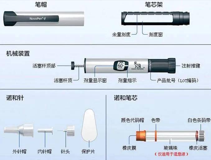 诺和笔结构图