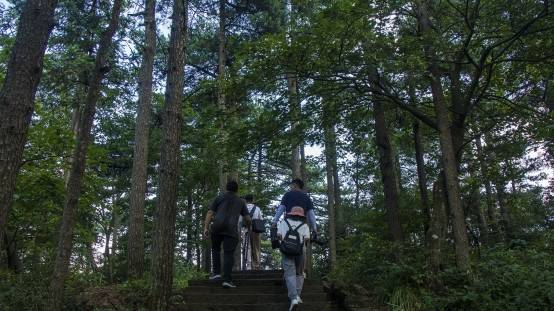 天柱山向您发出春日踏青邀请函