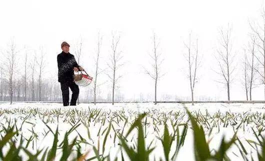 冬雪什么成语_冬雪图片唯美