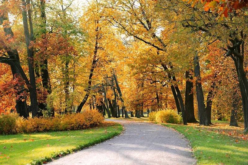 大叶园林屡减员“兄弟公司”瓜葛多 贴牌毛利率