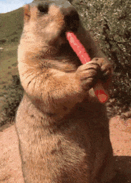 搞笑gif段子:这个厉害了,影子玩得炉火纯青_老公