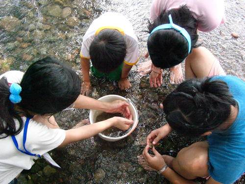 深圳企业团必一运动官网建 山水田园农家乐休闲一天游方案(图2)