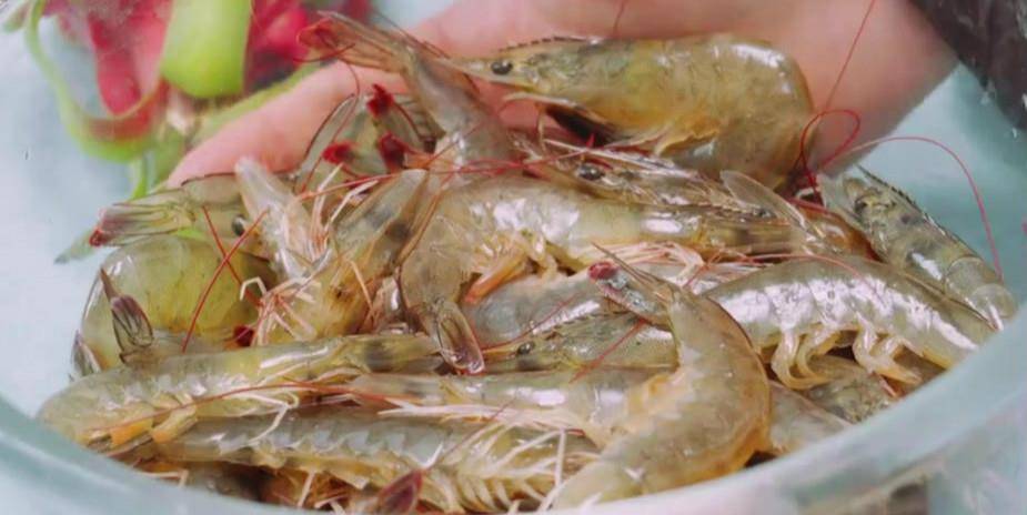 怎么样处理虾更干净 30cd9d4384a141ddaf87af3408f66844.jpeg