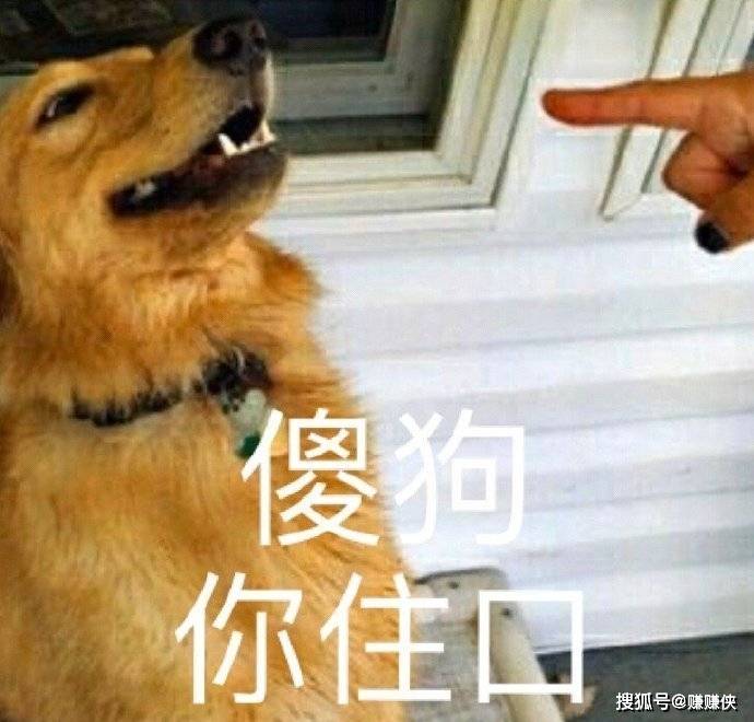 发泄表情包图片:伤心难过,来一起哭哭