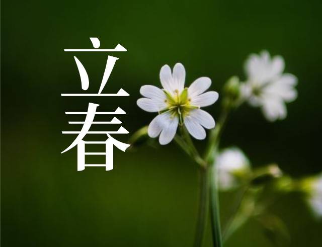 原创2021年金牛年什么时候立春几点打春