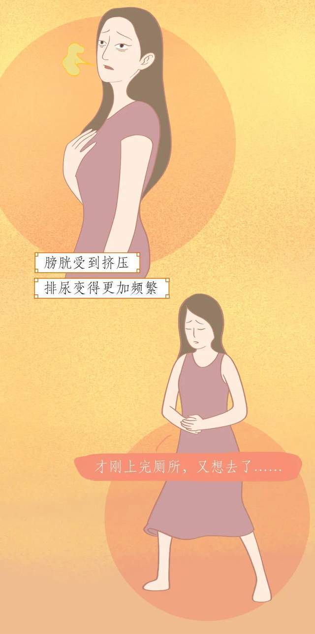 女人怀孕全过程:生娃绝不是件轻飘飘的事