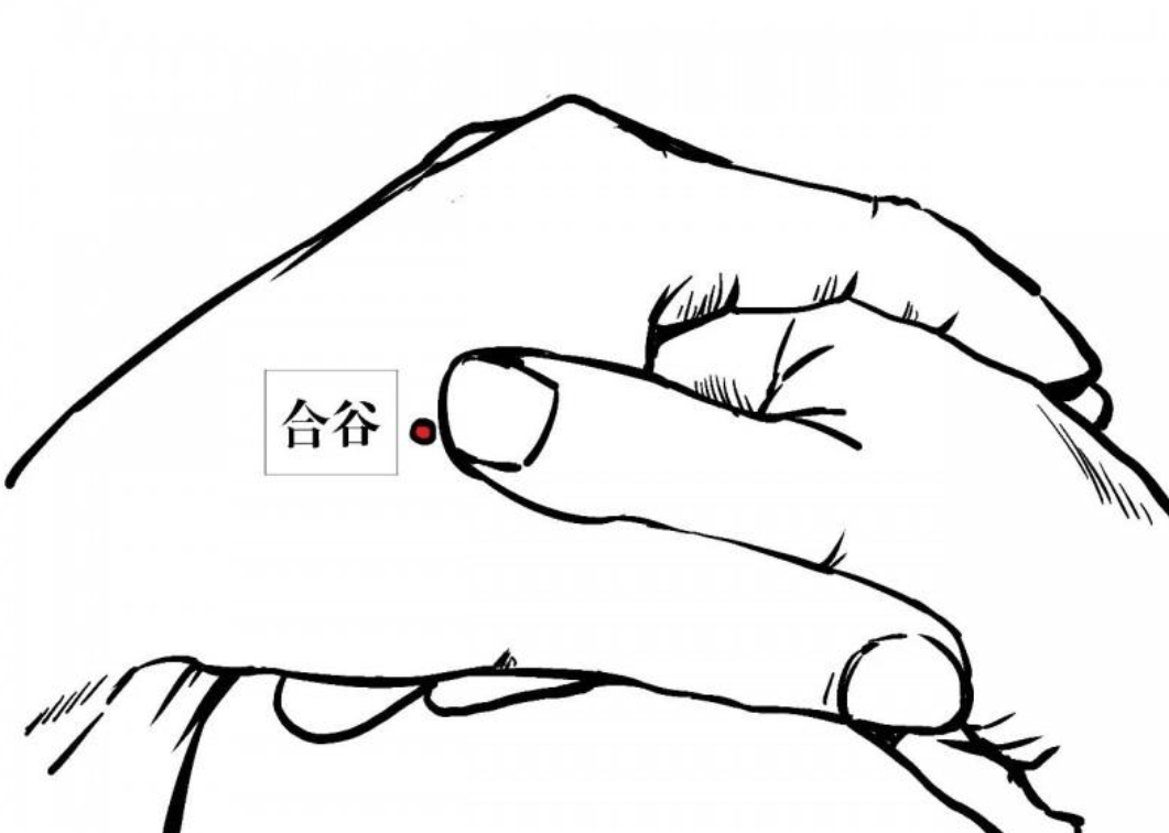 2fc2889e09754deead59aede2322e2ea.png