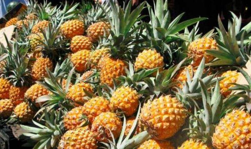 菠萝怎么做才能变甜 39f1e07218fe483895a2cb153863773c.jpeg