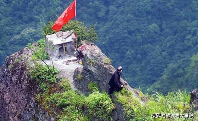 山崖绝壁上一小庙, 曾无数人失足坠崖, 只为上一柱“龙头香”!