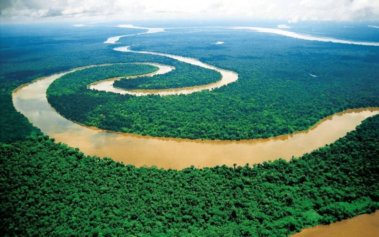 亚马逊河到底有多可怕？没人敢在亚马逊河中游泳