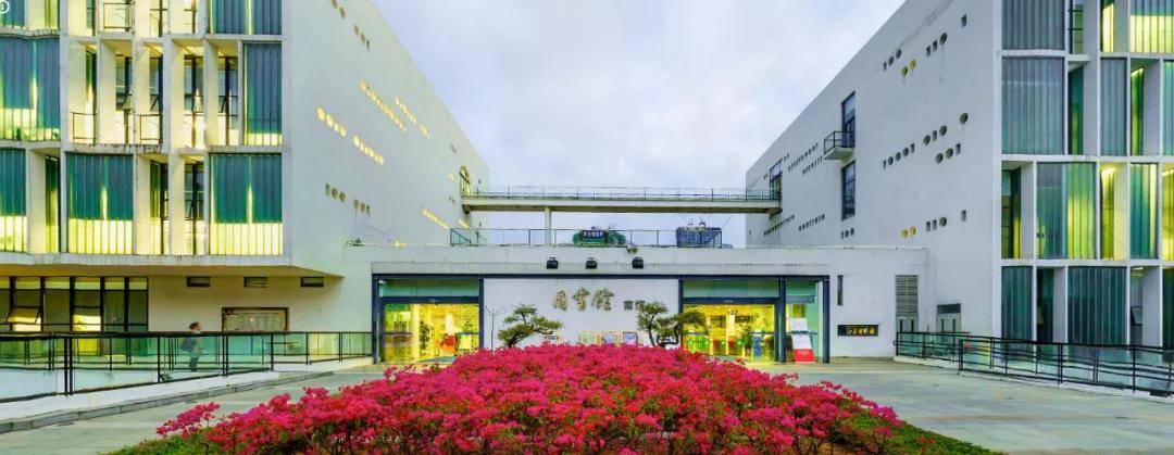 这里是深圳大学