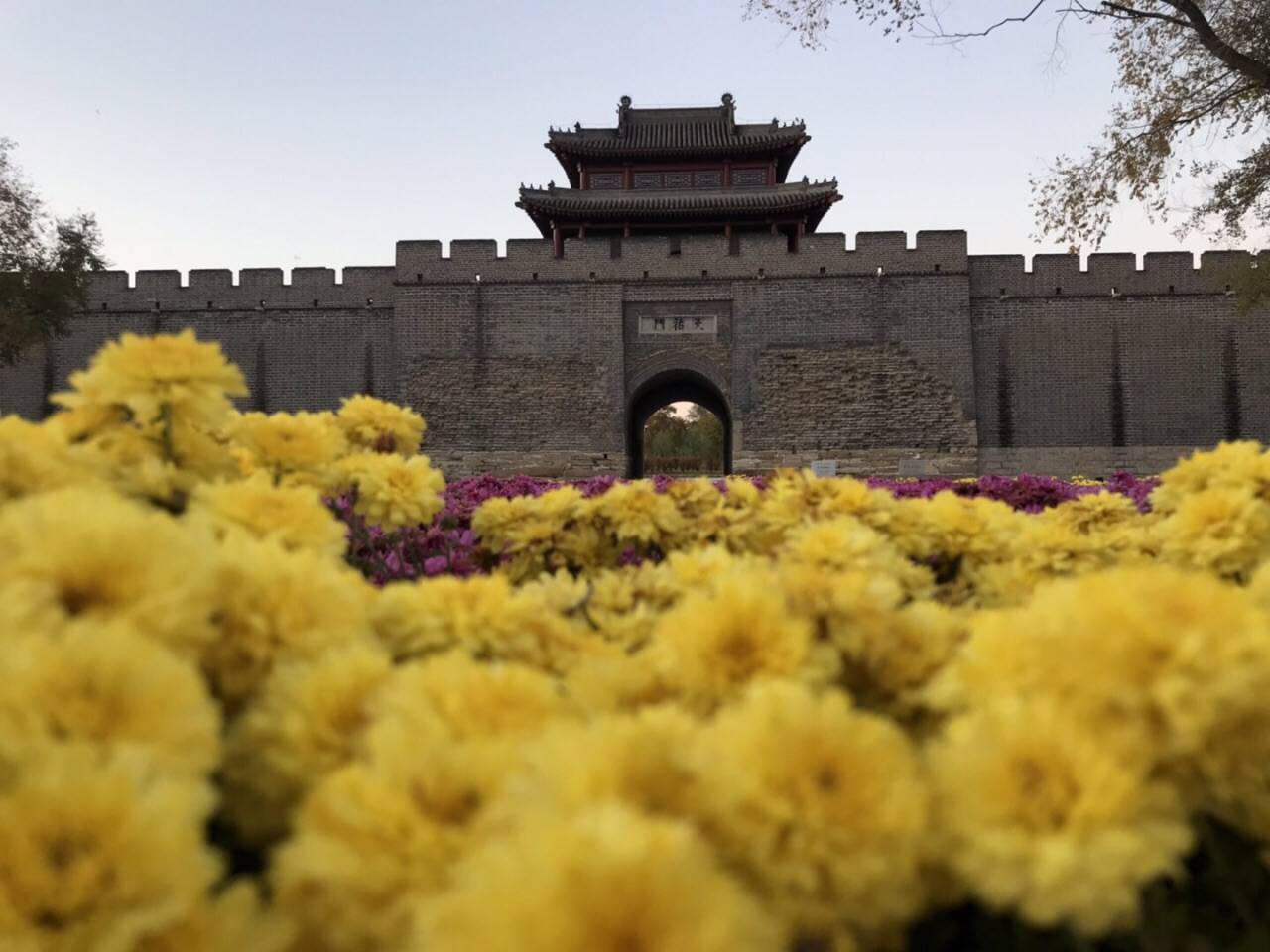 巴彦淖尔gdp2020_巴彦淖尔地图(3)