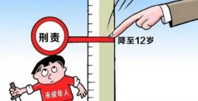 刑法修正案十二通过 48fd9aceec4d4611b9db725a4e79c86d.png