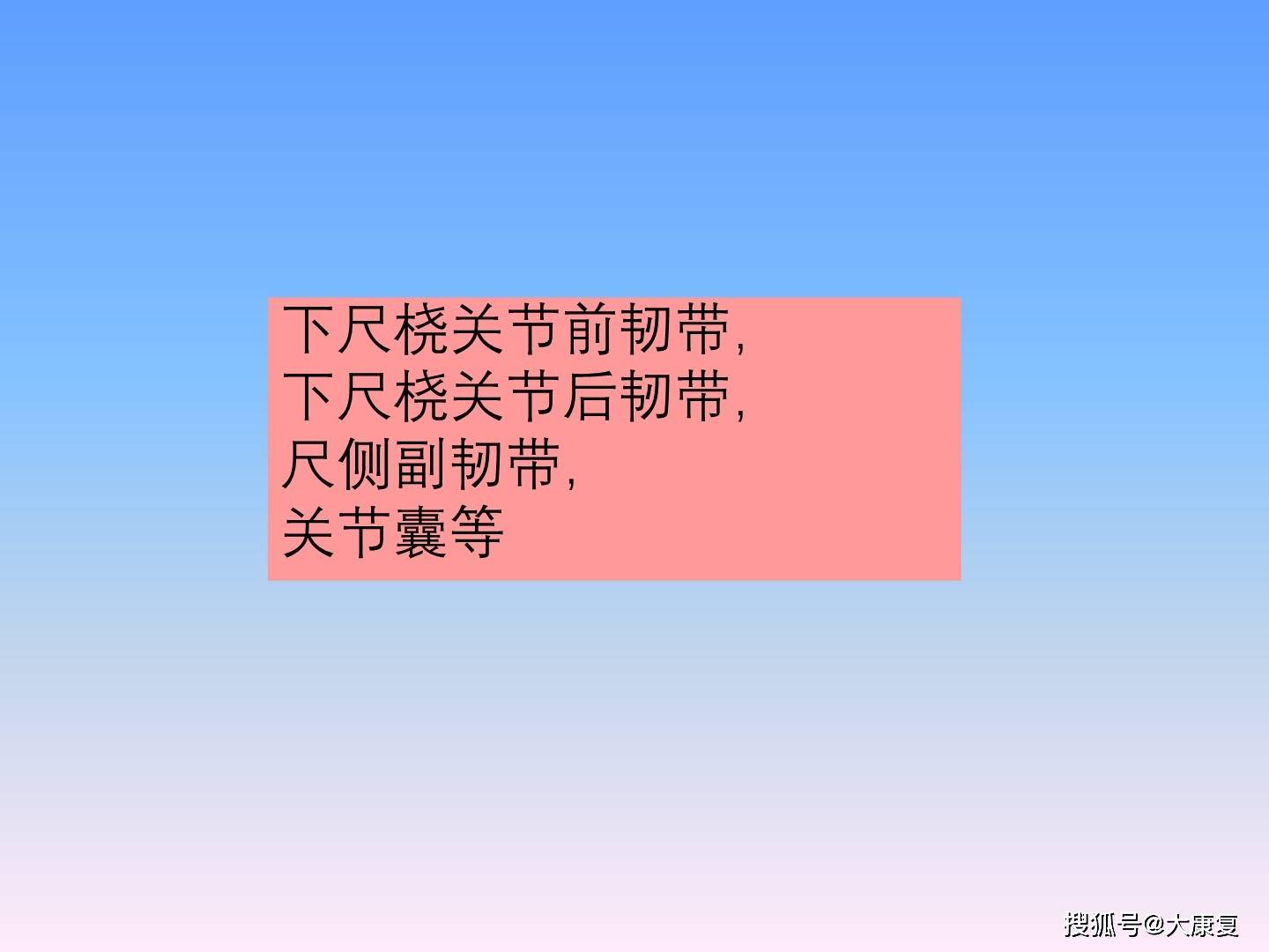 前臂功能解剖