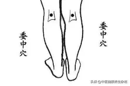 什么穴位不能针刺 c36378754c9f4fd995e560b21b9cf351.jpeg