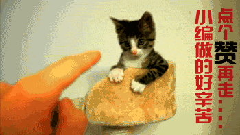 d0892ed376154951ad55c3d56768ca6f.png