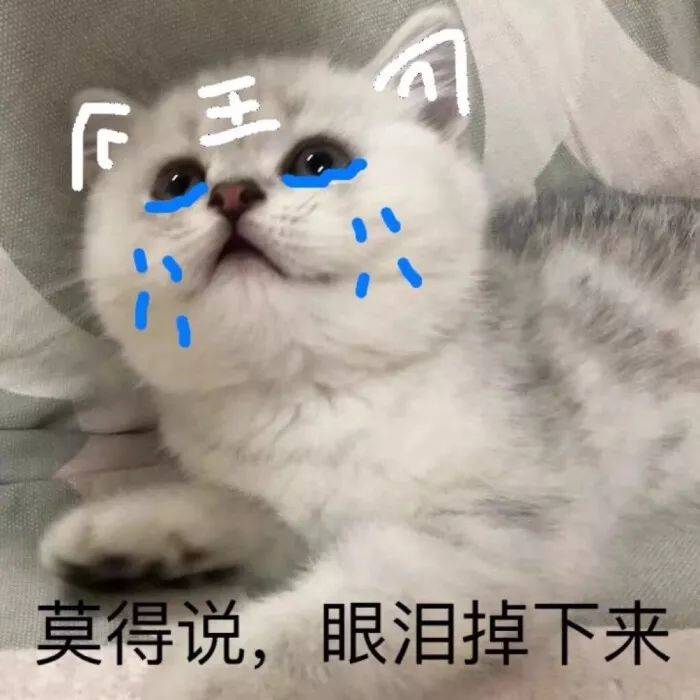 猫的视野有多远 a2aadccb33d5457e9de3fa04bd3dcdd7.jpeg