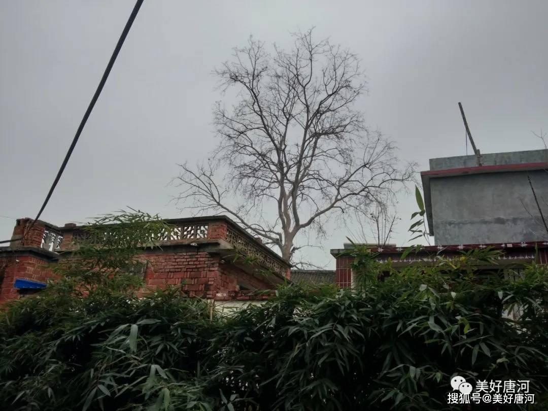 唐河有多少人口_唐河玉石原石图片(3)