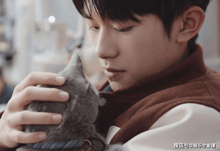 易烊千玺的电影新上映 518e5e22acf046c89bf879b1e38876c6.png