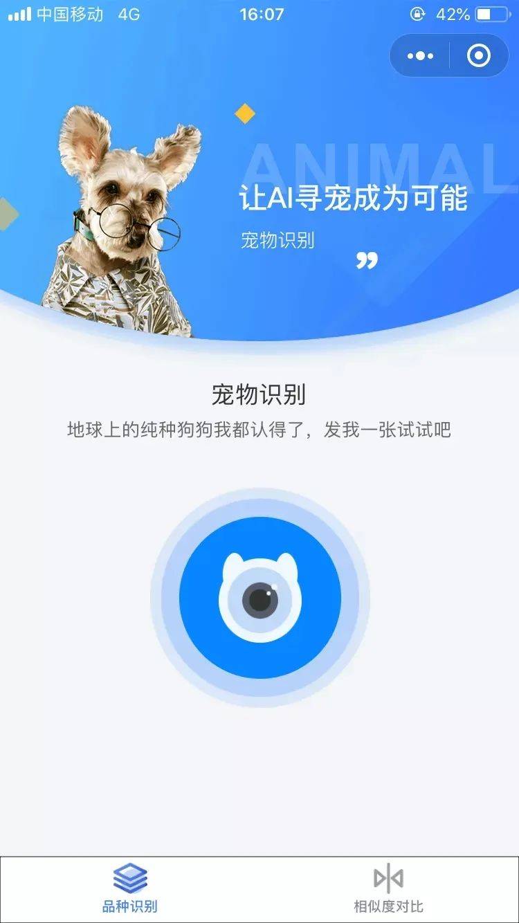 视频动物识别 7782de15472e41b6a4f07a198833666a.jpeg