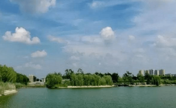 菏泽成武的gdp是多少_菏泽成武城区地图