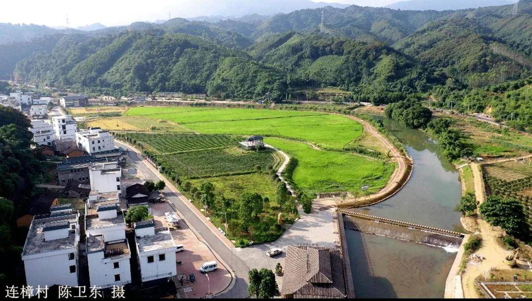 连樟不再"连瘴",贫穷变成小康|奔小康_樟村