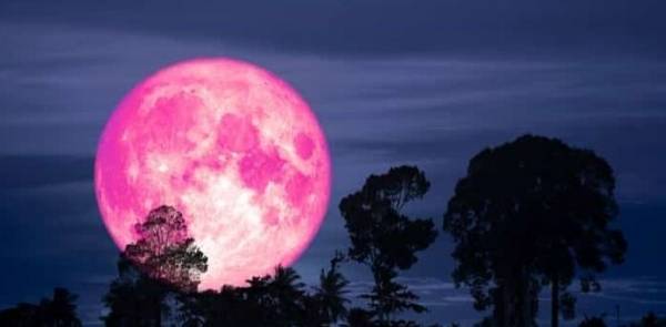 科学|地球上空出现“异象”，“粉色月亮”频繁出现