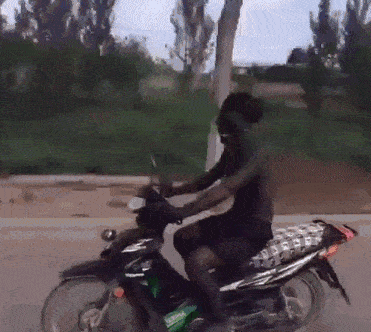 gif搞笑趣图:大哥,千万别紧张,你的车只要不动就安全了!