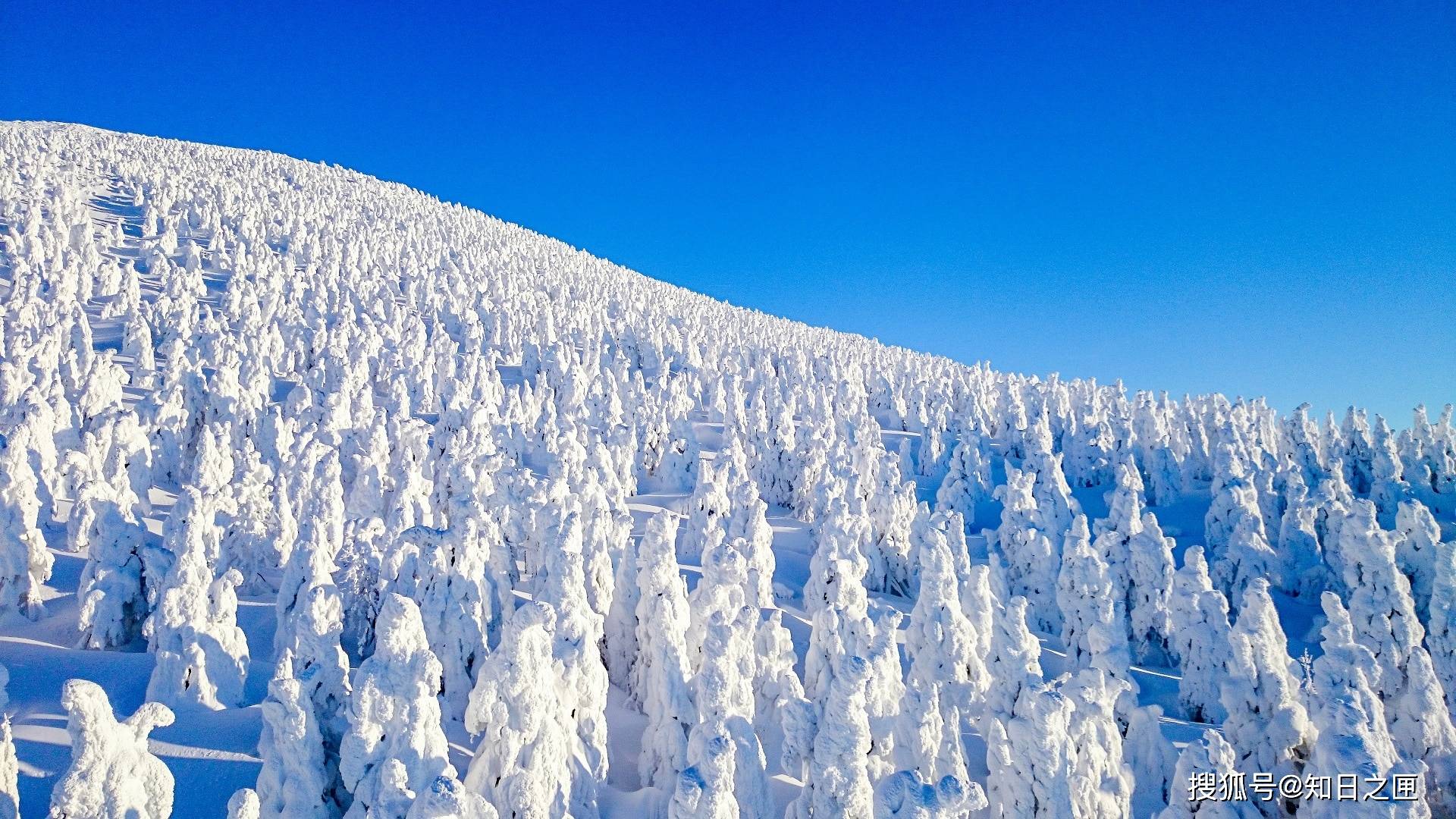 日本冬天10个最美丽的风景!