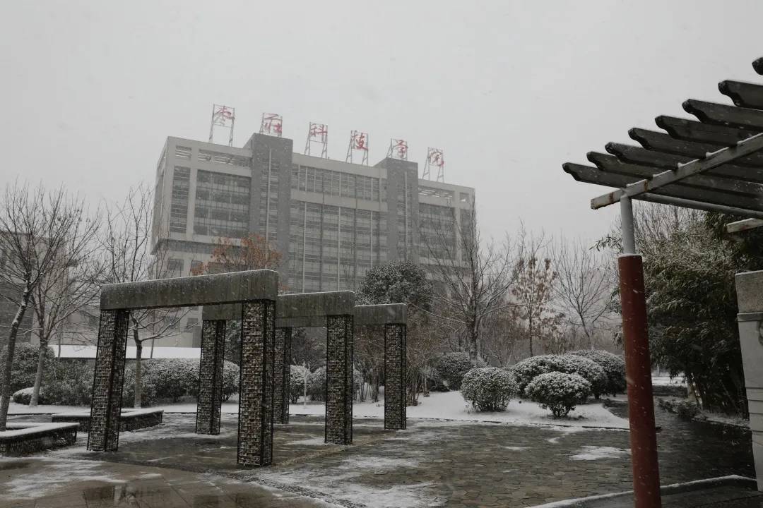 枣庄科技职业学院:冬日踏雪记