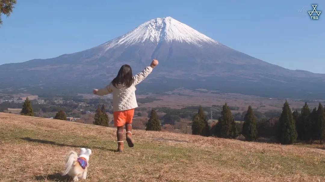 Solo Glamping——享受一个人的露营时光