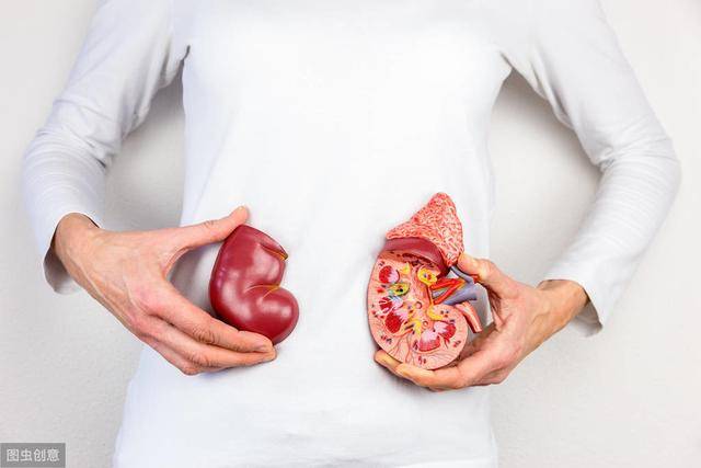 肾结石是哪个部位疼图片 81ba16c76c7846beb632c83d67ec474b.jpeg